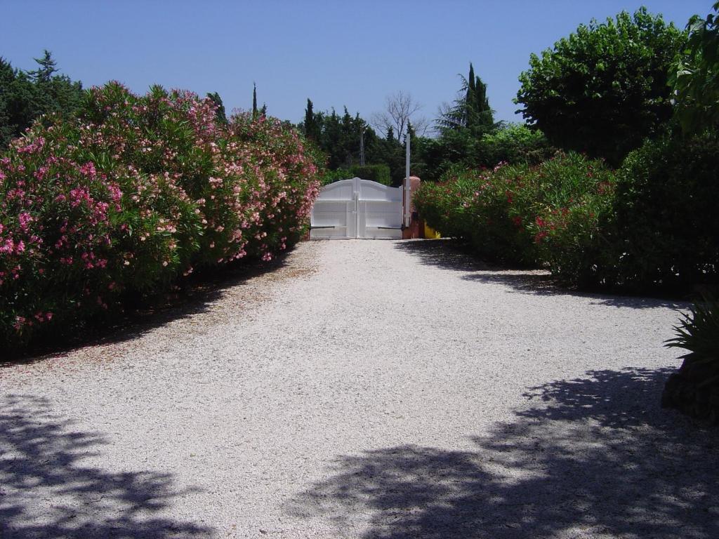 Le Mas Du Bijou Bleu Puget-sur-Argens Habitación foto